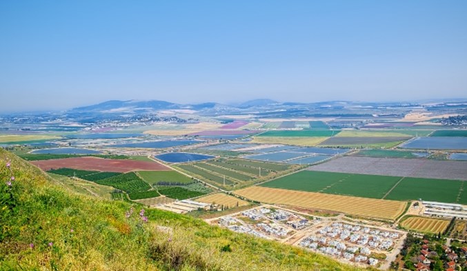 כיתה ד: מחלום להגשמה – עלייה לארץ ישראל